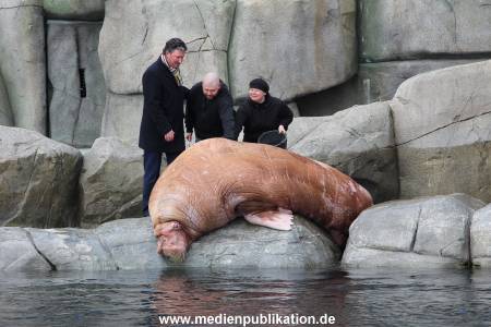 Hagenbeck26032013 042