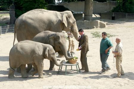 Hagenbeck 03072010 004