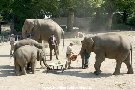 Hagenbeck 03072010 005