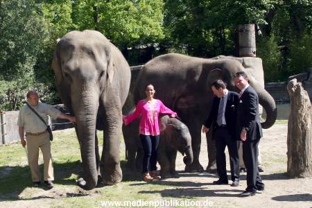 Hagenbeck Mitra 14052009 035