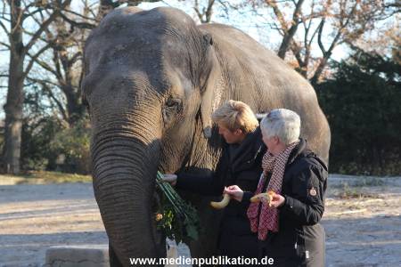Hagenbeck 25112013 035