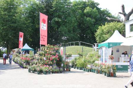 HomeGarden 26062014 076