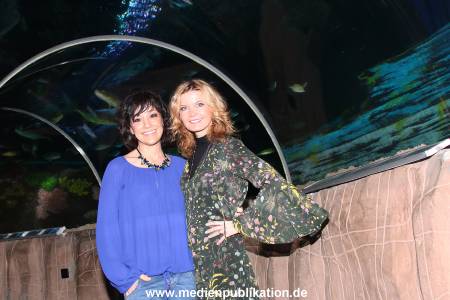 Sealife 01032016 174