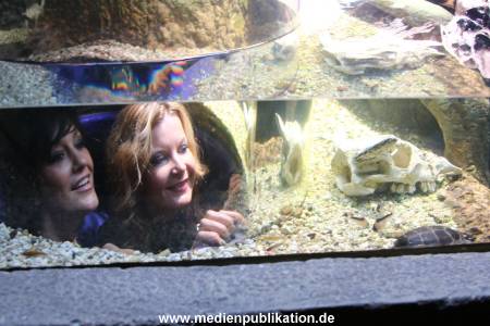 Sealife 01032016 201