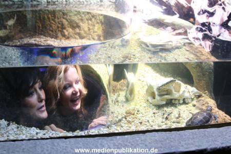 Sealife 01032016 202