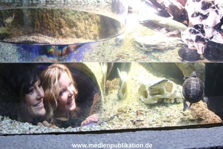 Sealife 01032016 206