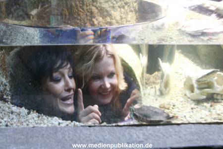Sealife 01032016 208
