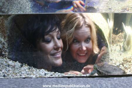 Sealife 01032016 212
