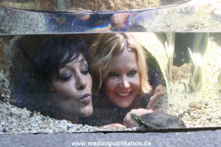 Sealife 01032016 213