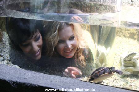 Sealife 01032016 215