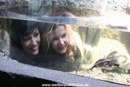 Sealife 01032016 220