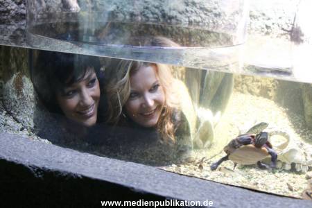 Sealife 01032016 223