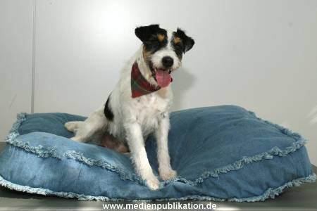 Kalle 10082006 003