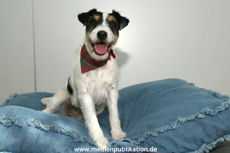 Kalle 10082006 005