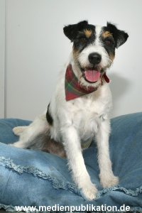 Kalle 10082006 006