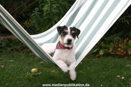 Kalle 10102005 053