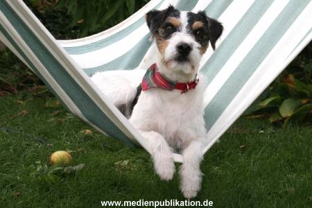 Kalle 10102005 056