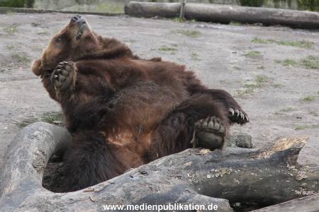 Hagenbeck 10032016 036
