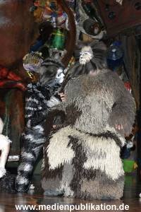 Cats 04012011 031