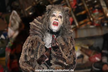 Cats 04012011 038