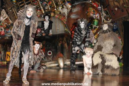 Cats 04012011 044