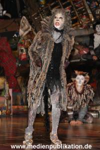 Cats 04012011 039