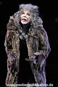 Cats 04012011 055