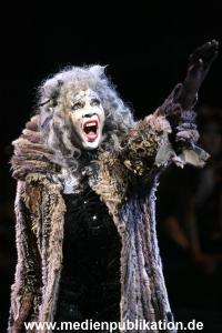 Cats 04012011 059