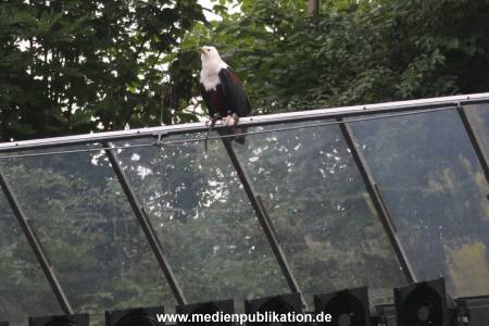 Karl May 26062016 266