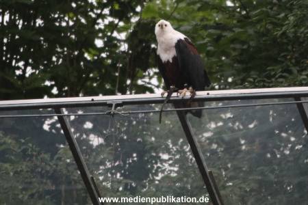Karl May 26062016 267