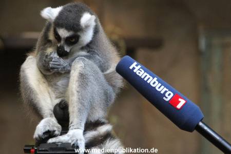 Hagenbeck 26102012 046