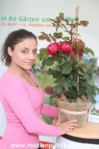 IGS Kentikian Rose 27062012 019
