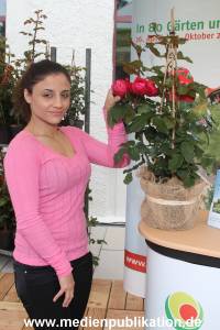 IGS Kentikian Rose 27062012 045