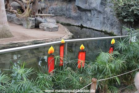 Hagenbeck Nikolaus 05122013 001