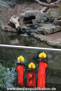 Hagenbeck Nikolaus 05122013 002