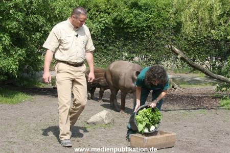 Ketikidou Hagenbeck 16052008 013