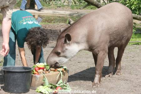 Ketikidou Hagenbeck 16052008 015