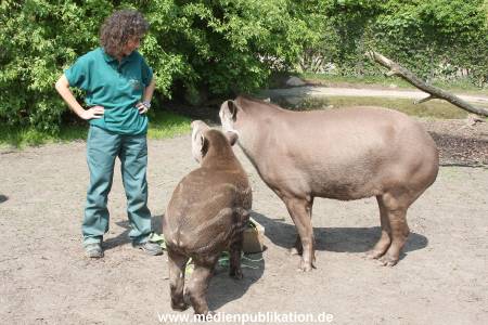 Ketikidou Hagenbeck 16052008 016