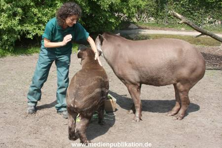 Ketikidou Hagenbeck 16052008 017
