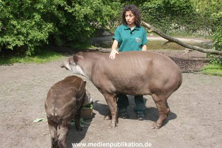 Ketikidou Hagenbeck 16052008 018