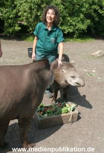 Ketikidou Hagenbeck 16052008 045