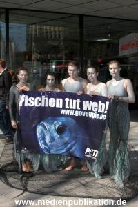 Peta 09042009 034