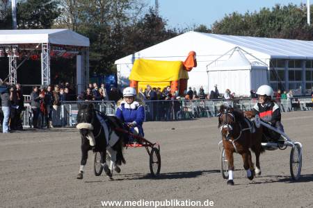 Bahrenfeld 16102011 061