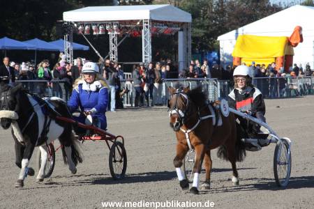 Bahrenfeld 16102011 062