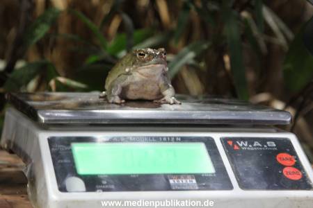 Hagenbeck Inventur 29122014 006