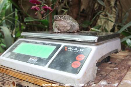 Hagenbeck Inventur 29122014 010