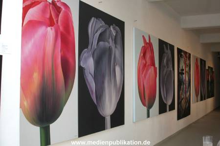 Kunkel 08042011 006