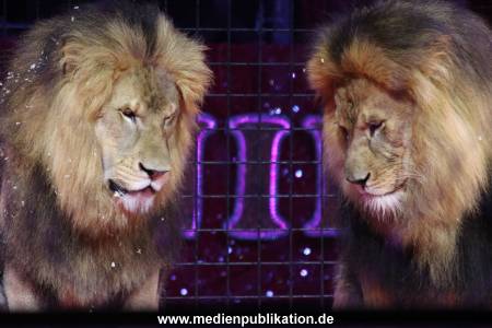 Charles Knie 30052018 210
