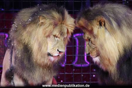 Charles Knie 30052018 211