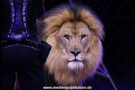 Zufälliges Pressefoto